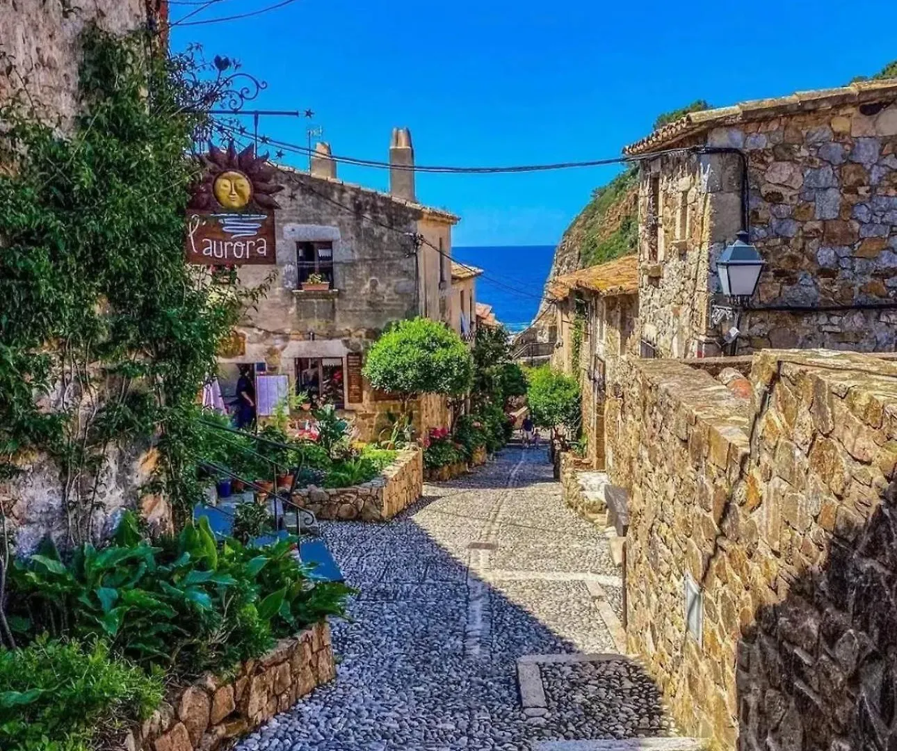 Villa Mediterranea Boutique House Τόσα ντε Μαρ 0*,